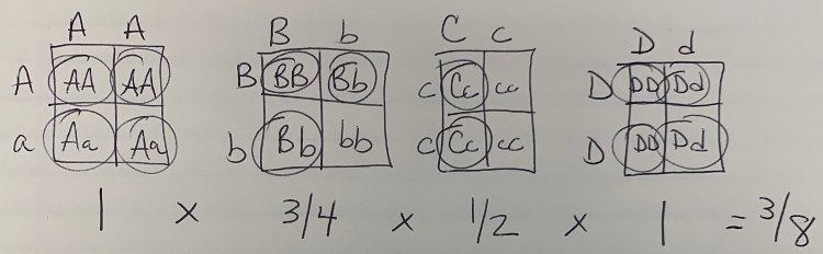 <p>3/8 </p>