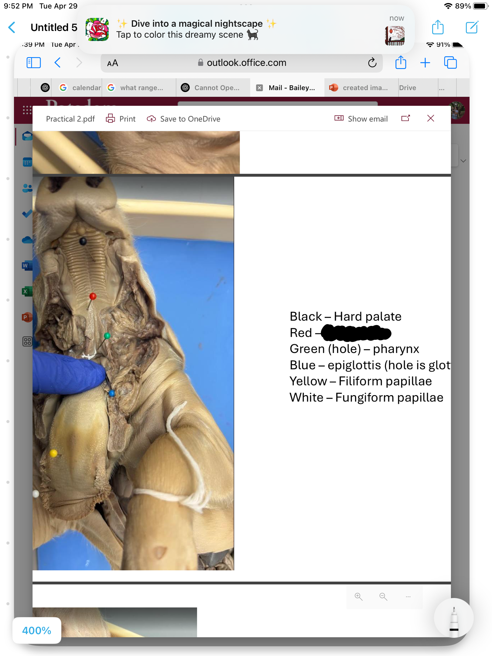 <p>label the area</p>