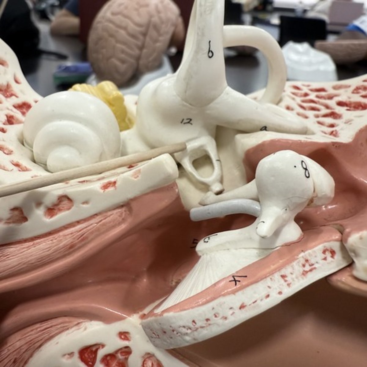 <p>What is this structure?</p>