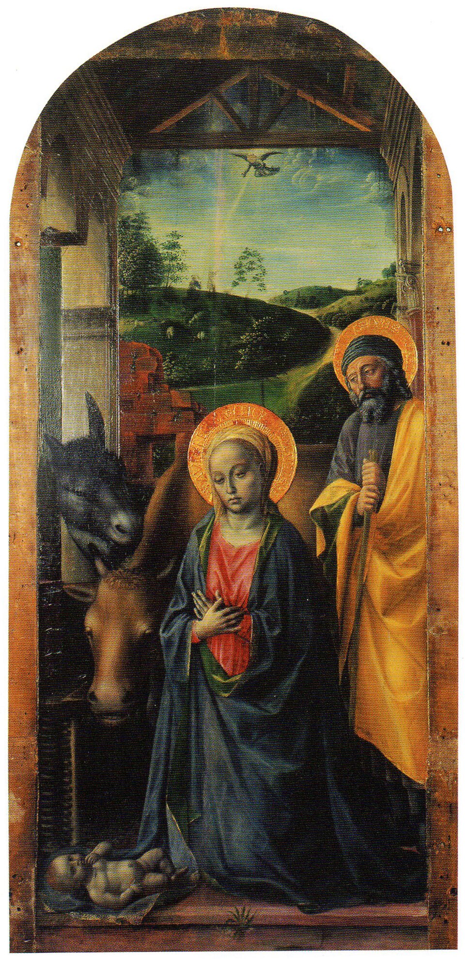 term image
