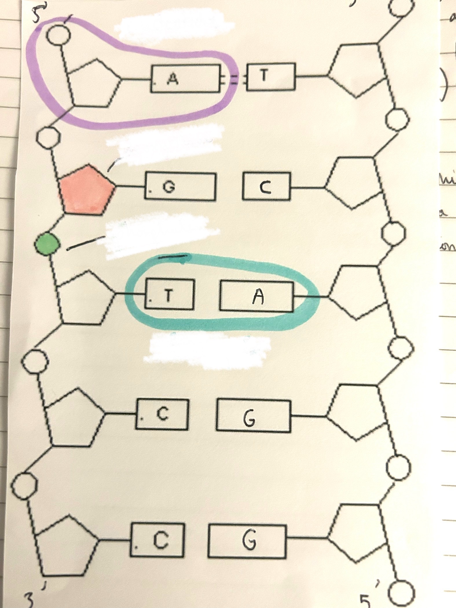 <p>what is the pink part?</p>