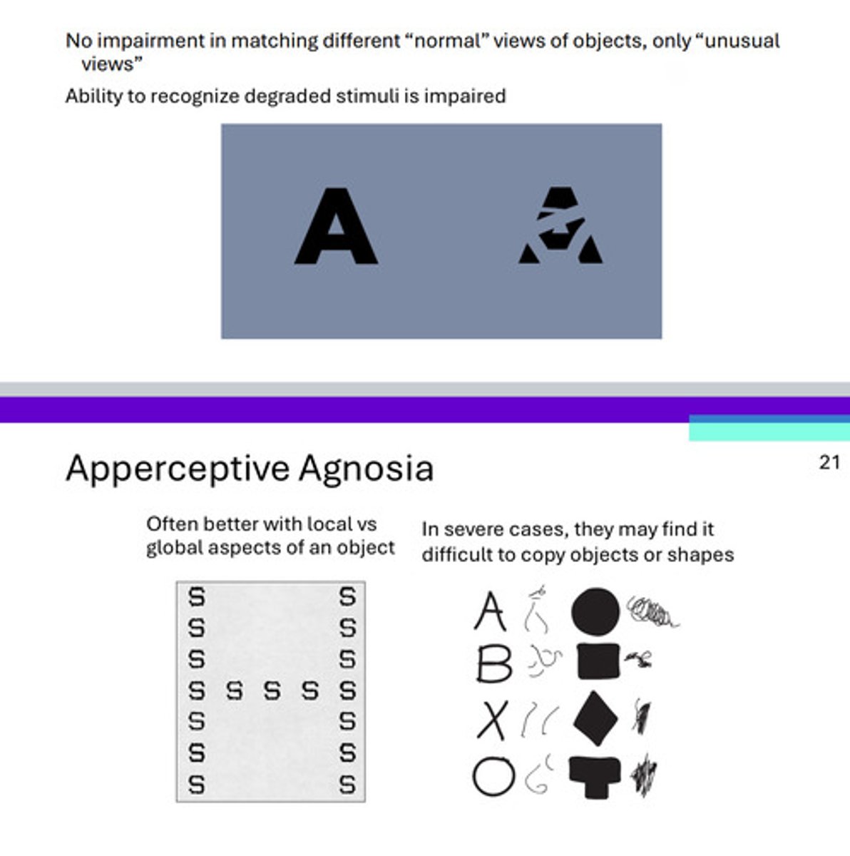 <p>apperceptive agnosia: recognition failure due to impaired perceptual processing</p>