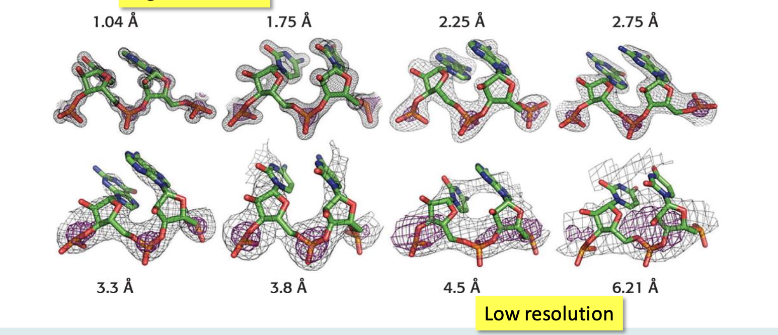 <p>Refers to the quality of the electron density map. The better the resolution, the better we can interpret the map</p><p>6.0 Å → can see polypeptide chain and few structural details</p><p>1.0 Å → can see the position of individual atoms</p>