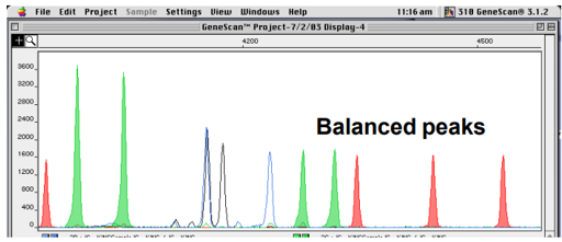 <p>Two alleles of any one loci should be balanced and if they are imbalanced, the DNA could be degraded</p>