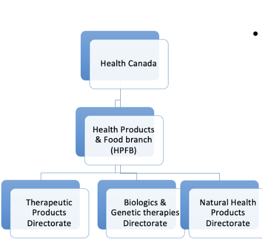 <p>Therapeutics Products directorate</p><p>Biologics &amp; Genetic therapies directorate</p><p>NHP directorate</p>