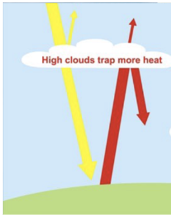 <p>are made out of ice particles and warm the surface; are thin, nearly transparent to sunlight, and are very effective in absorbing infrared radiation</p>