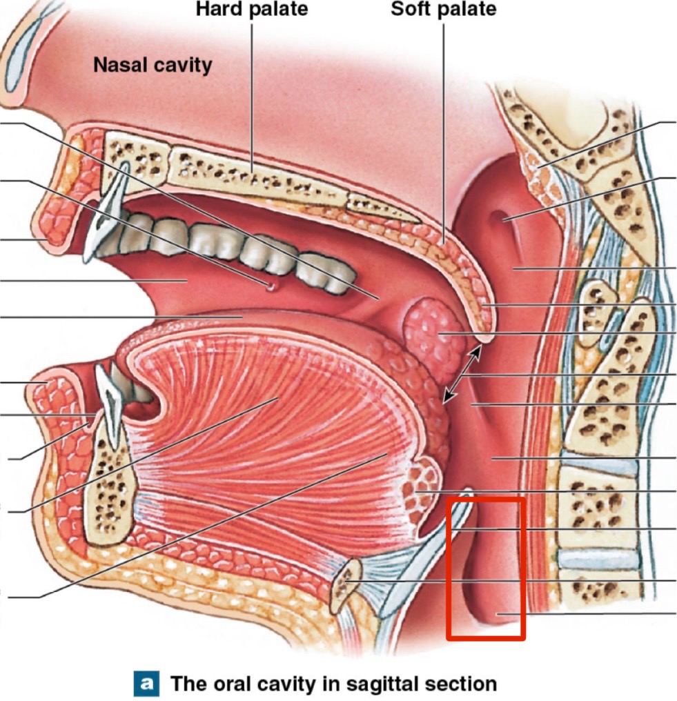 <p>what is this? </p>
