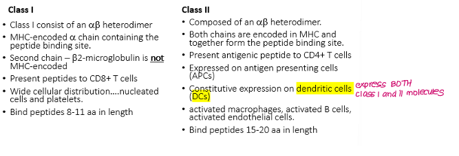 <p><strong>Class I</strong></p><ul><li><p>present <strong>ENDOgenous </strong>Ag peptide (e.g. viruses) to CD8+ T cells </p></li></ul><p></p><p><strong>Class II</strong></p><ul><li><p>present <strong>EXOgenous </strong>Ag peptide (e.g. bacteria) to CD4+ T cells</p></li></ul><p></p>