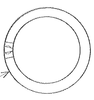 <p>A classification of fluorescent lamps that is doughnut shaped for circular luminaires</p>