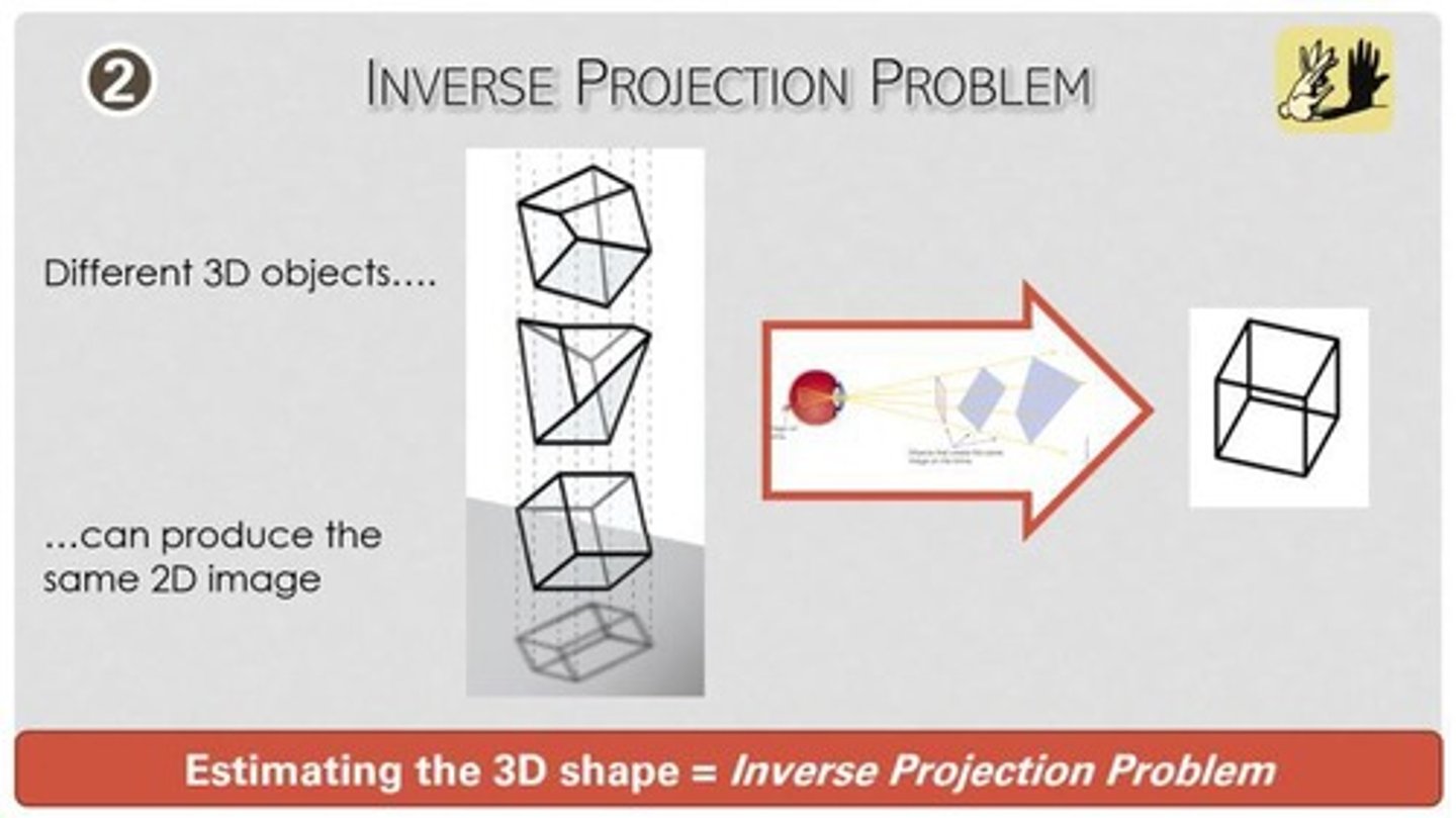 <p>Edges that result from 3D shading and texture gradients, helping to define figures.</p>