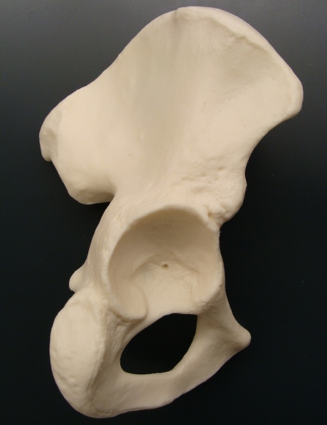 <p>what structure is this?&nbsp;</p>