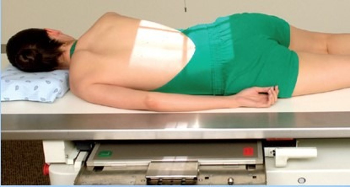<p>35-45 degree LAO or RPO, CR 1-2" above iliac crest. Shows left colic flexure (splenic flexure) and descending colon.</p>