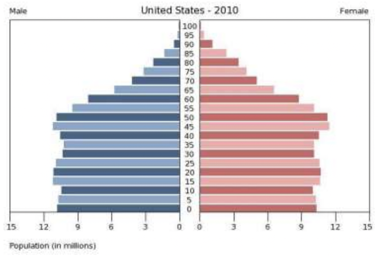 <ul><li><p>more older people</p></li><li><p>less younger people</p></li><li><p>high birth rate</p></li><li><p>declining death rate</p></li></ul>