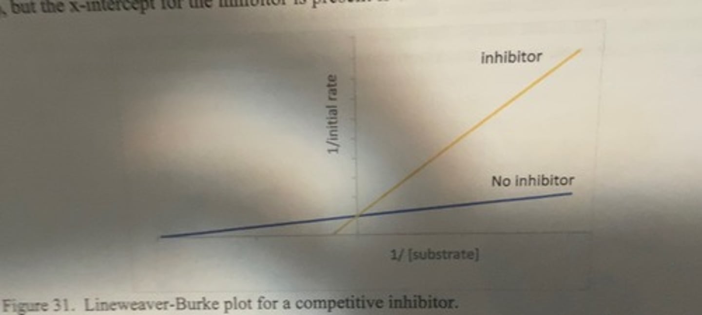 <p>-same y-intercept (vmax) but the x intercept for the inhibitor is present closer to the origin</p>