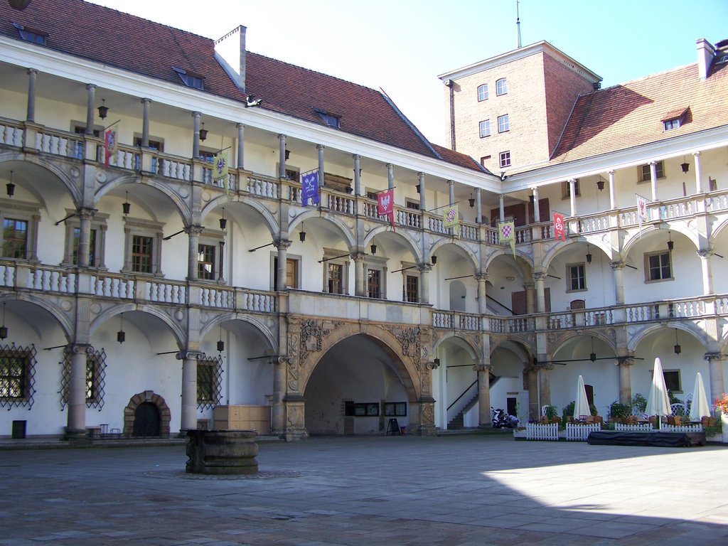 term image
