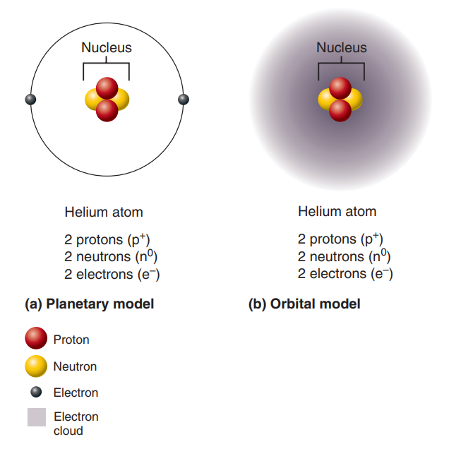 Two models of the structure of an atom. | © Marieb & Hoehn's Human Anatomy & Physiology