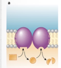 <p>What is this?</p>