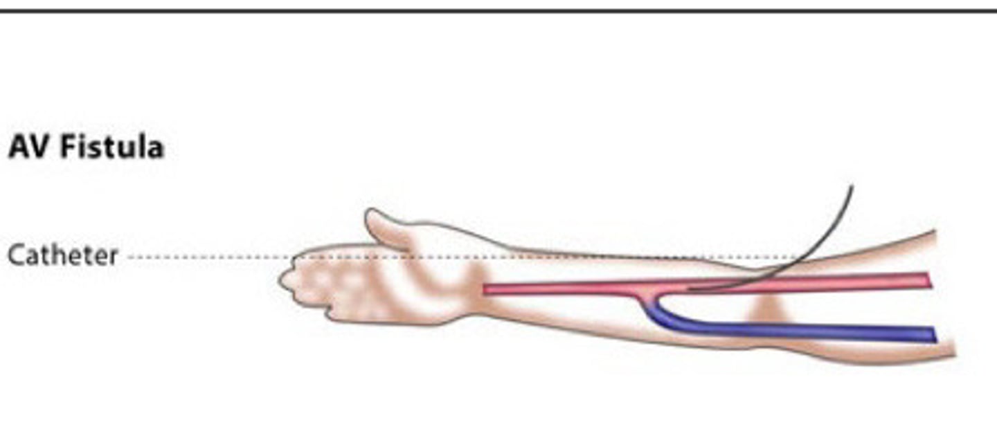 <p>What does this image show</p>