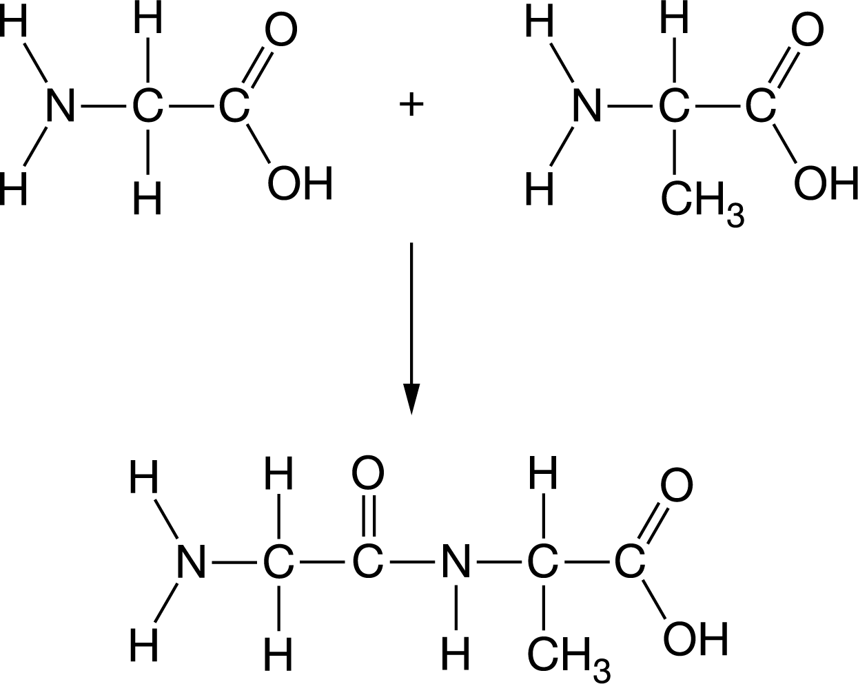 <p><span>Which of the following best describes the formation of the bond shown in Figure 1&nbsp;?</span></p>