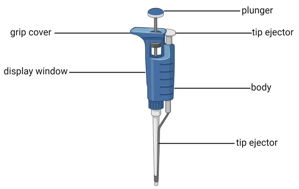 <p>Micropipettes</p>