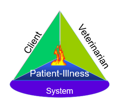 <ul><li><p>Client</p></li><li><p>Veterinarian</p></li><li><p>Patient illness</p></li><li><p>System: the rules we operate under</p></li></ul><p></p>