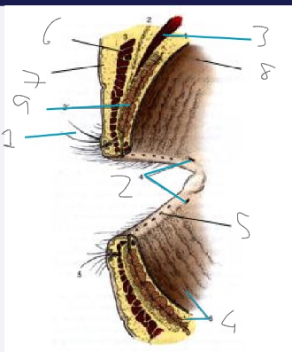 <p>Label this diagram</p>
