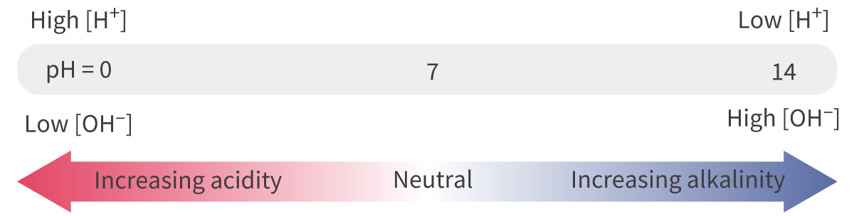 The pH scale is an inverse scale; the higher [H+], the lower the pH value.