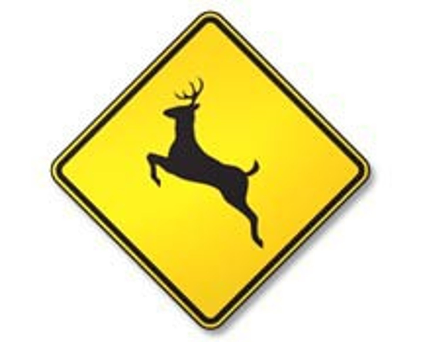 <p>Deer Crossing</p>