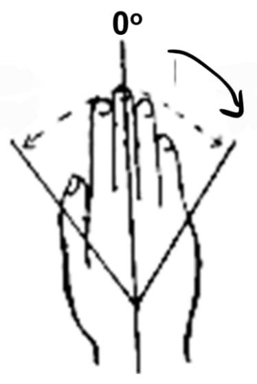 <p>Wrist ulnar flexion (adduction)</p>