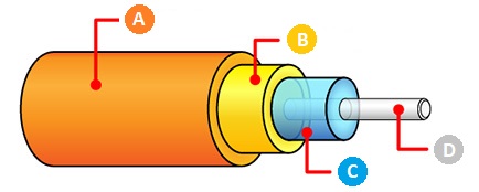 From A-D, label the correct component name for the fiber optic cable