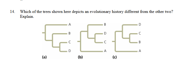 <p>Which shows a different evolutionary history</p>