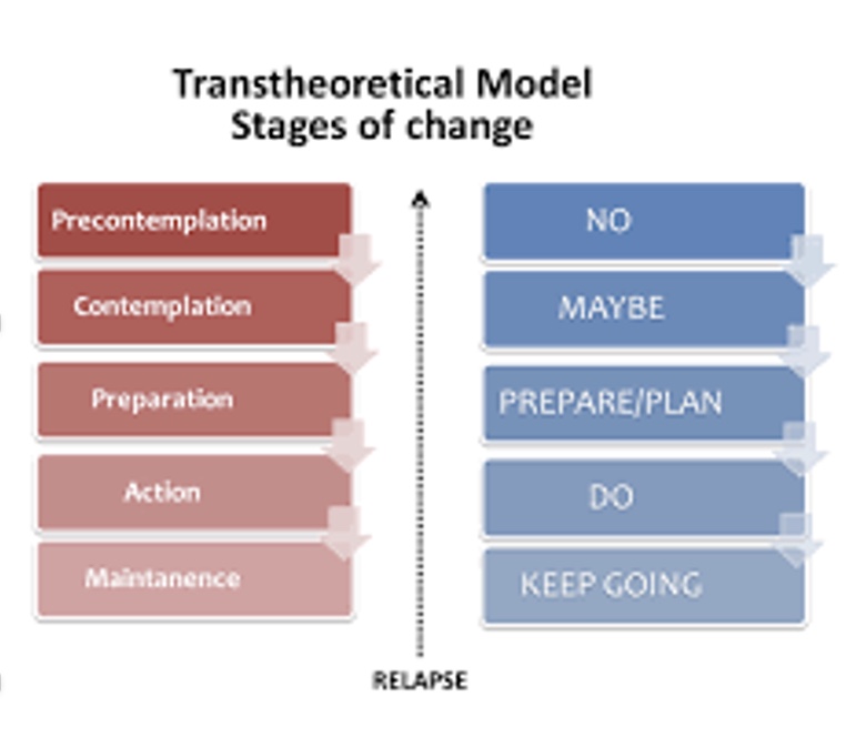 <p><span>-TTM was developed as a framework for understanding behavior change and is </span><strong><span>one of the most popular approach for promoting exercise behavior</span></strong></p><p><span>-The popularity of the use of stages of change from the TTM stems from the intuitive appeal that</span><strong><span> individuals are at different stages of readiness to make behavioral changes and thus require tailored interventions</span></strong><span>. (*where someone starts)</span></p><p><strong><u><span>The stages of change</span></u></strong></p><p><span style="font-family: &quot;Courier New&quot;;"><mark data-color="yellow" style="background-color: yellow; color: inherit;"><span>o</span></mark></span><mark data-color="yellow" style="background-color: yellow; color: inherit;"><span>Precontemplation</span></mark><span>(no intention to be regularly active in the next 6 mo)</span></p><p><span style="font-family: &quot;Courier New&quot;;"><mark data-color="yellow" style="background-color: yellow; color: inherit;"><span>o</span></mark></span><mark data-color="yellow" style="background-color: yellow; color: inherit;"><span>Contemplation </span></mark><span>(intending to be regularly active in the next 6 mo)</span></p><p><span style="font-family: &quot;Courier New&quot;;"><mark data-color="yellow" style="background-color: yellow; color: inherit;"><span>o</span></mark></span><mark data-color="yellow" style="background-color: yellow; color: inherit;"><span>Preparation </span></mark><span>(intending to be regularly active in the</span><mark data-color="red" style="background-color: red; color: inherit;"><span> next 30 d</span></mark><span>) (*where start to initiative exercise Rx)</span></p><p><span style="font-family: &quot;Courier New&quot;;"><mark data-color="yellow" style="background-color: yellow; color: inherit;"><span>o</span></mark></span><mark data-color="yellow" style="background-color: yellow; color: inherit;"><span>Action</span></mark><span>(regularly active for &lt;6 mo)</span></p><p><span style="font-family: &quot;Courier New&quot;;"><mark data-color="yellow" style="background-color: yellow; color: inherit;"><span>o</span></mark></span><mark data-color="yellow" style="background-color: yellow; color: inherit;"><span>Maintenance</span></mark><span>(regularly active for ≥6 mo)</span></p><p><span>*6 months based of ACSM 6 months and 150 minutes</span></p>
