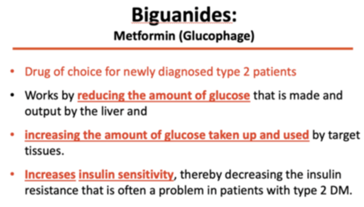 <p>Metformin (Glucophage)</p>