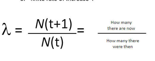 <p><strong></strong> = ratio of population size at any time to the population size 1 time unit earlier ​</p><p><strong></strong>  is the “per capita growth rate” ​ \n      or “finite rate of increase”:​</p>