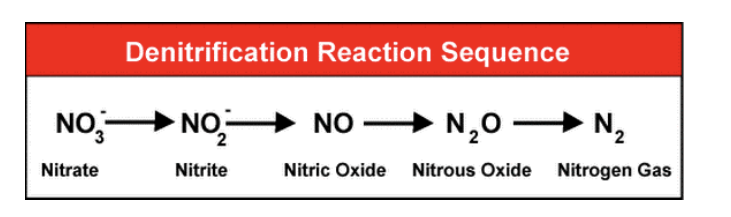 <p><span style="background-color: transparent;"><span>what is </span><strong><span>nitrogen denitrification?</span></strong></span></p>