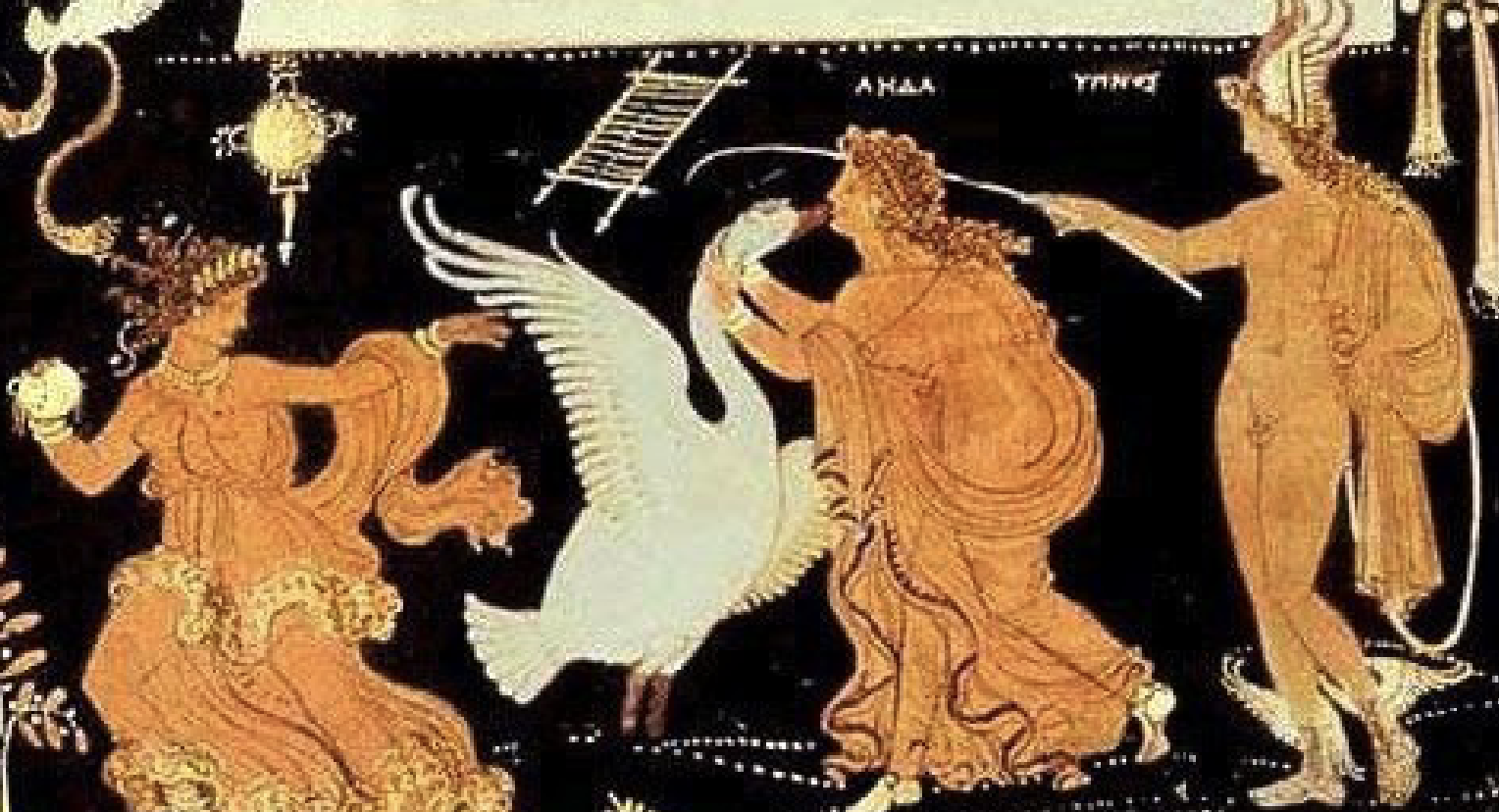 <p>who is in this</p>