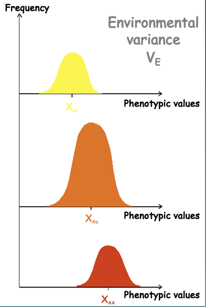 Environmental variance