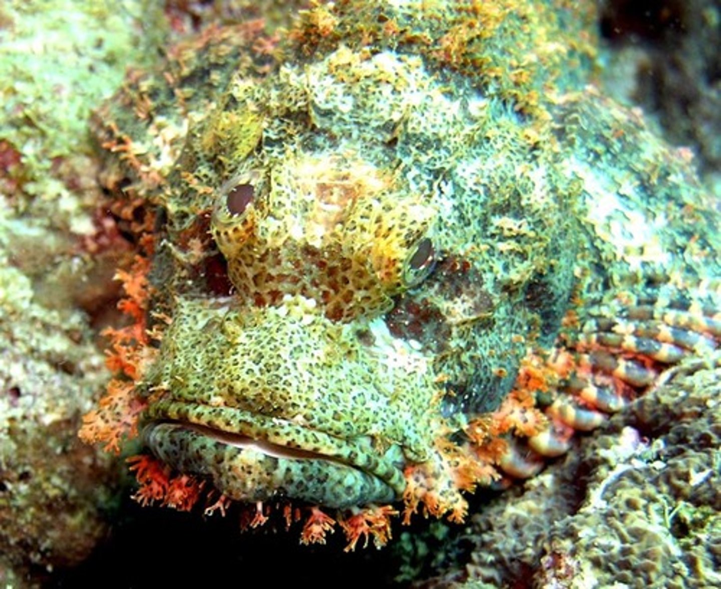 <p>загрожувати</p>