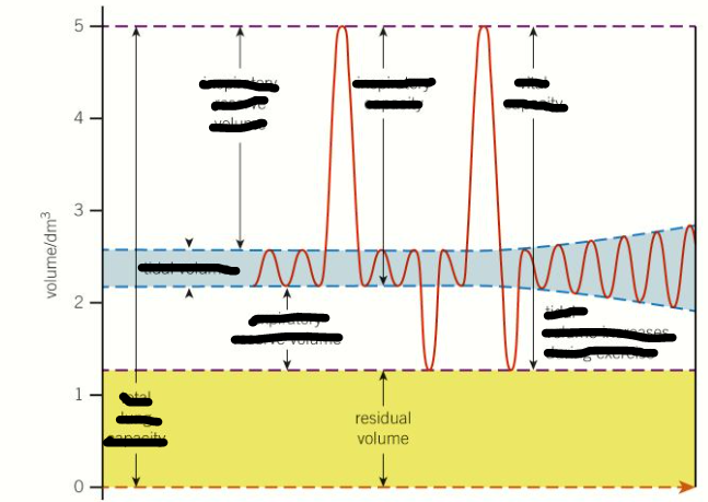 <p>Residual volume</p>