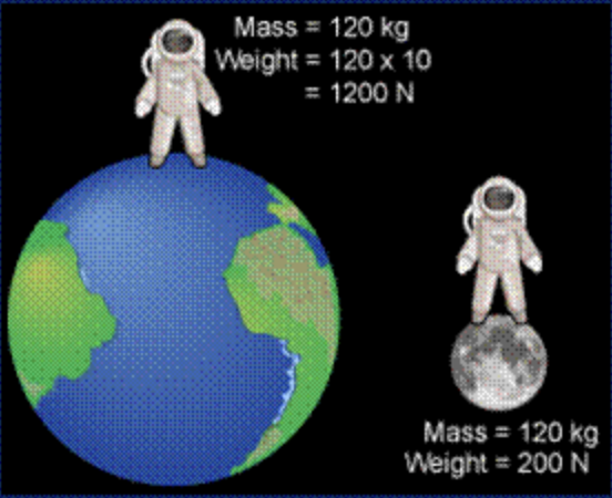 <p>the force of gravity on an object (N)</p>