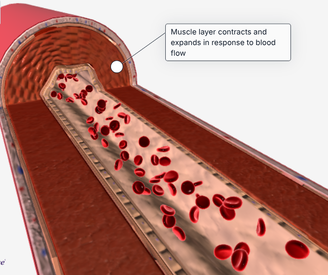 <p>What action is being pictured?</p>