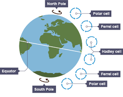 <p>conditions that cause tropical storms and why 1)</p>