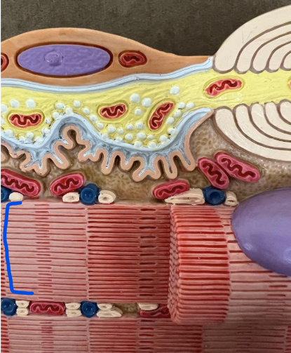 <p>What is this?</p>