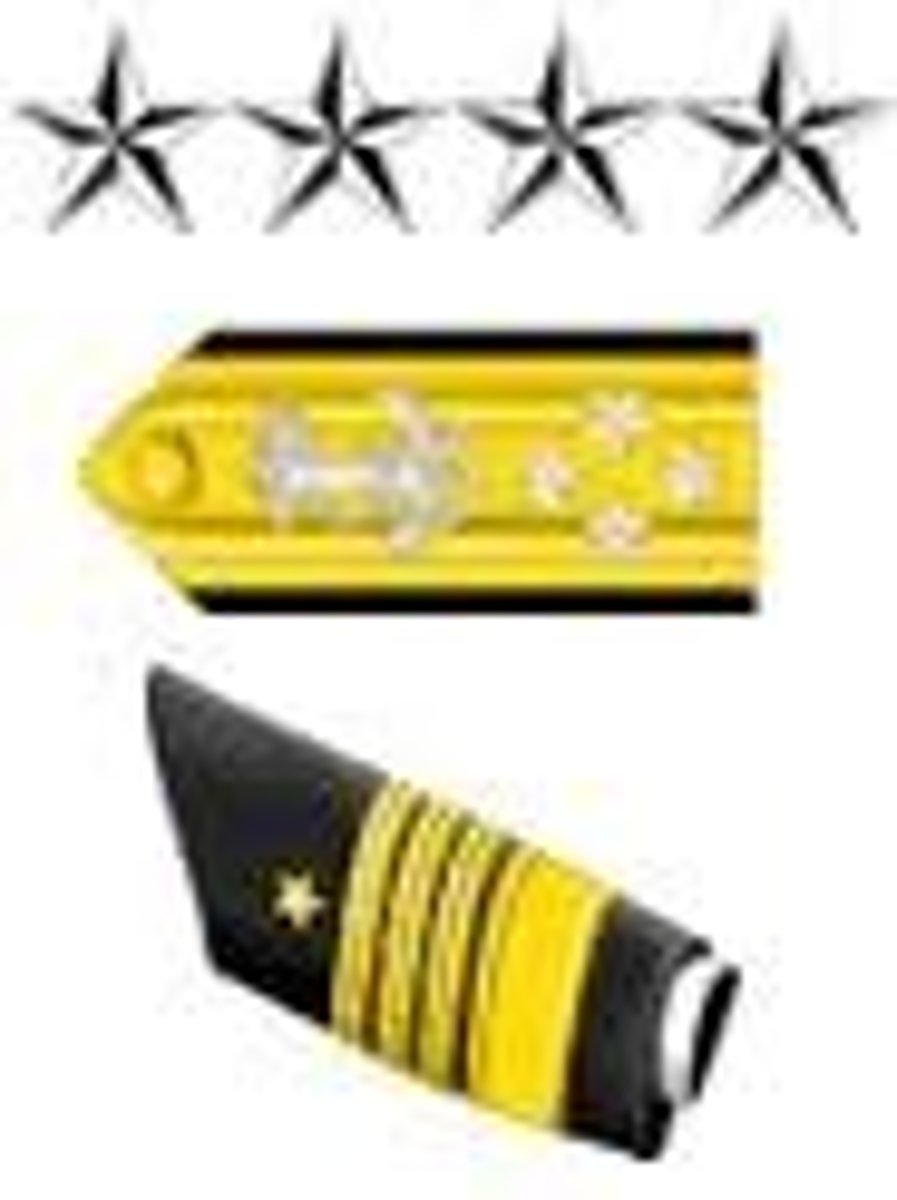 <p>Admiral</p>