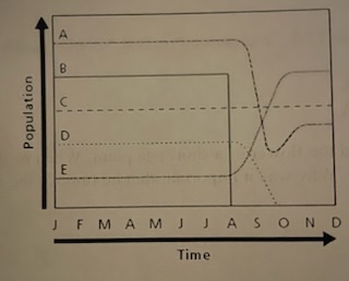Examine the graph in Figure 5-3. Which species were not affected by the loss of species B?