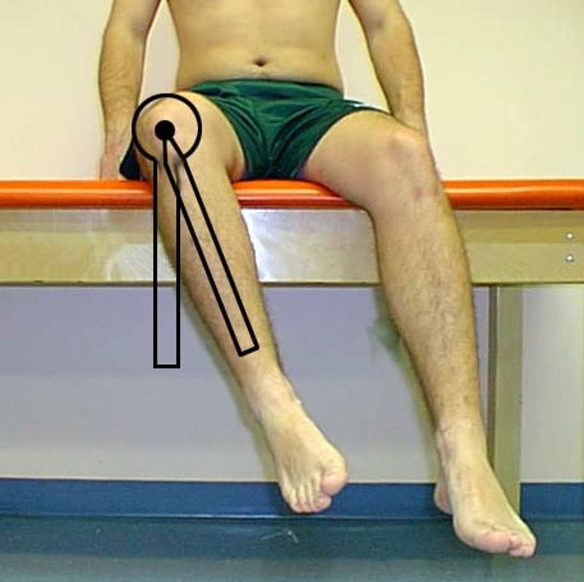 <p>seated</p><p>stationary arm: perpendicular to floor </p><p>fulcrum: center of patella </p><p>moving arm: talocrural joint (between malleoli) </p>