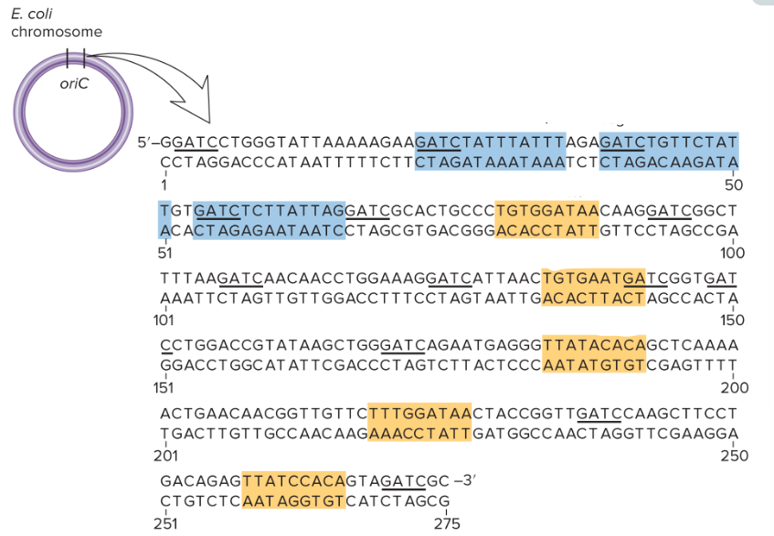 <p>What are the blue boxes? What are the orange boxes?</p>