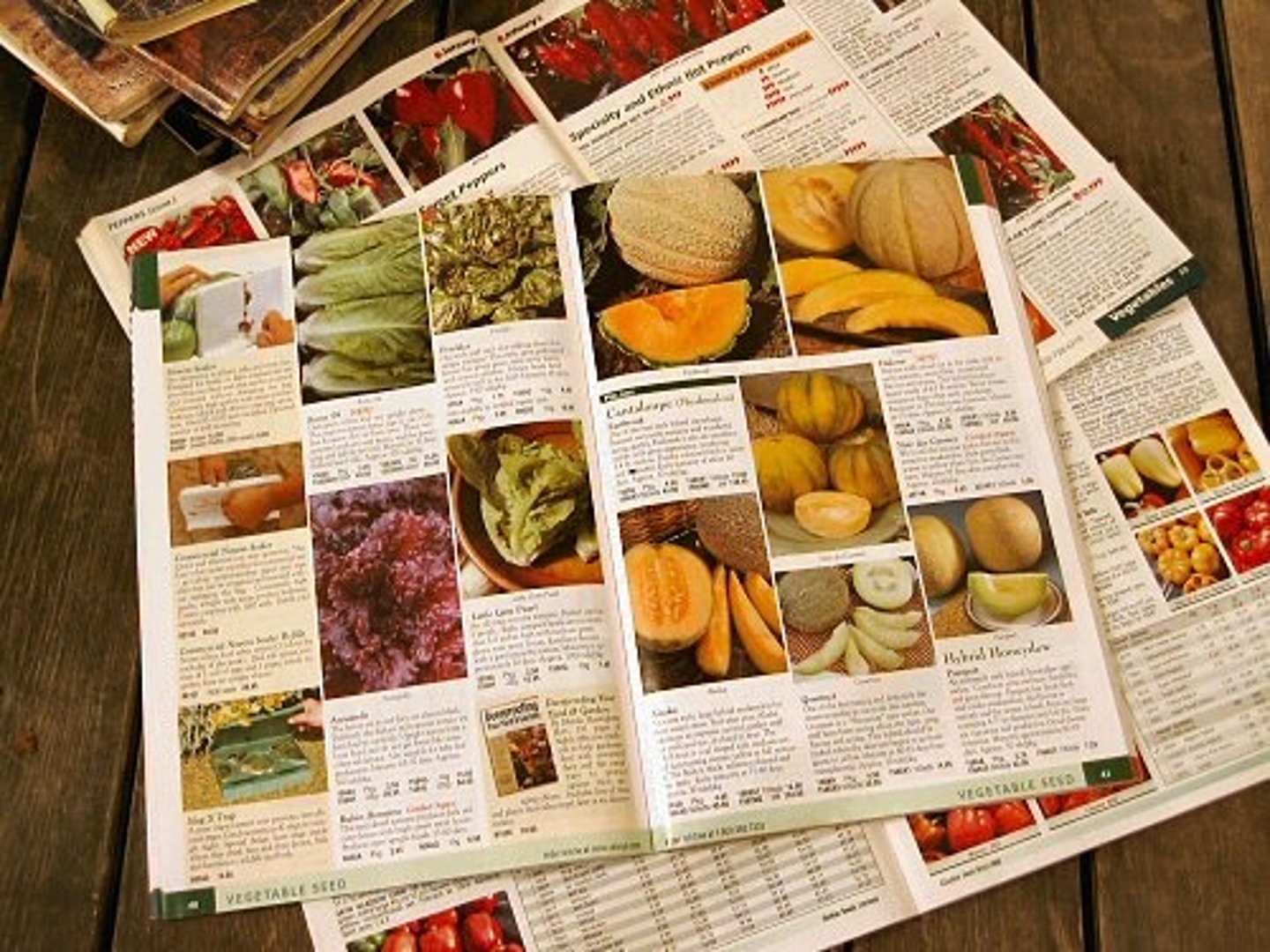 <p>Range of skills (catalog, collection)</p>