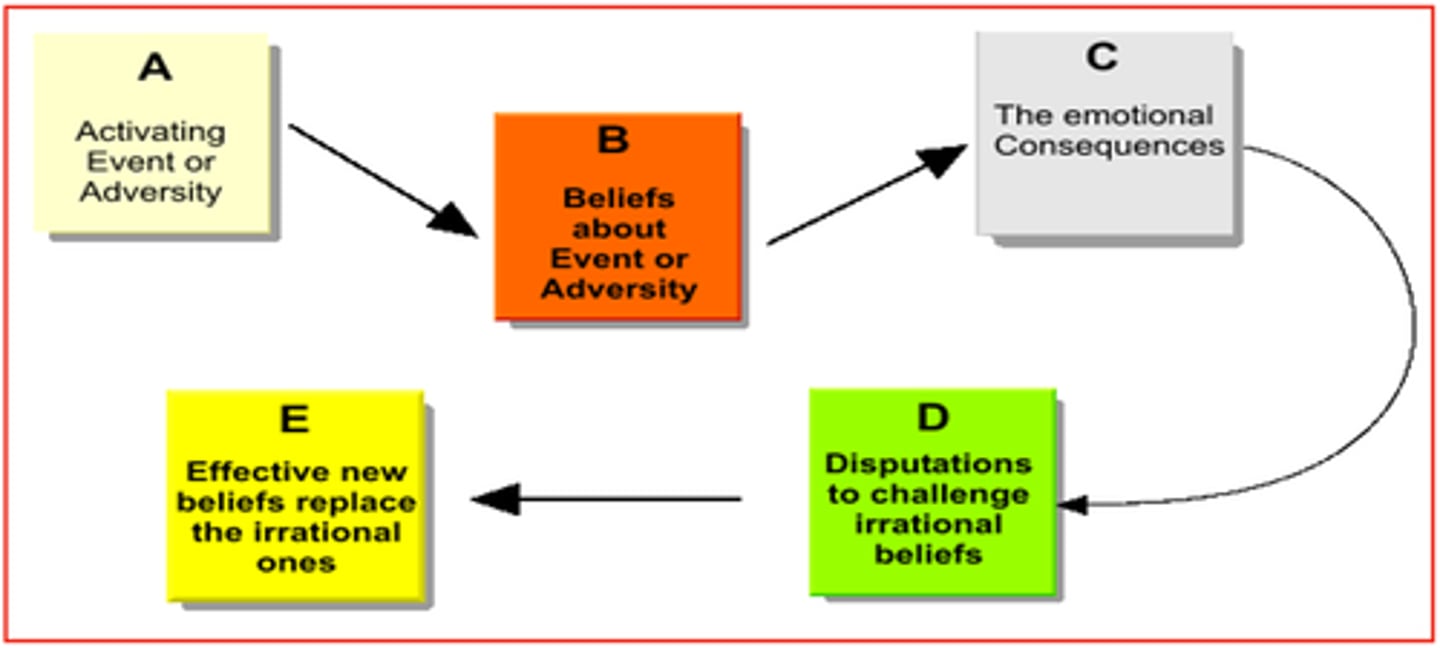 <p>Central technique is to identify and dispute irrational thoughts and then they are subject to vigorous argument (thorough) comes from his ABC model<br>ABCDE - D= dispuation and E= effect</p>