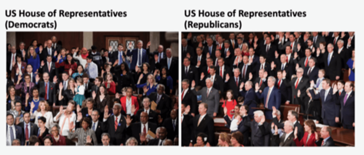 <p>the Democrats</p>